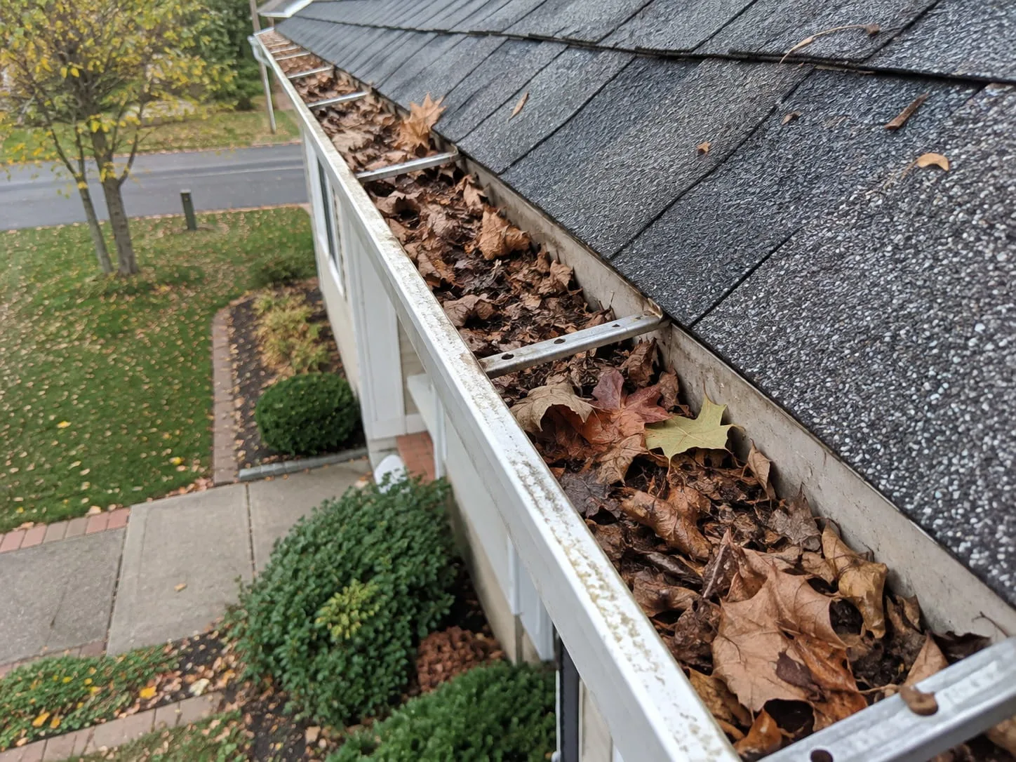 Gutter Cleaning in West Auckland