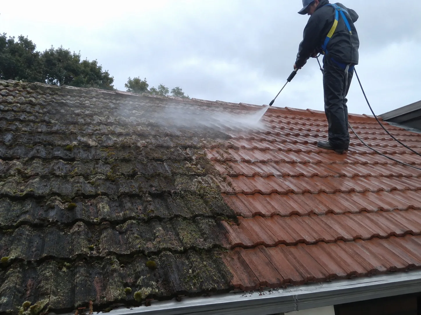 Moss and lichen cleaning on a decramastic roof in West Auckland