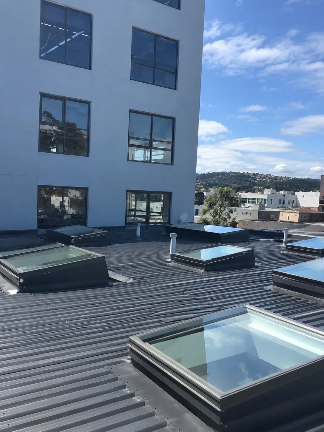 New residential roofing being installed on an Auckland home