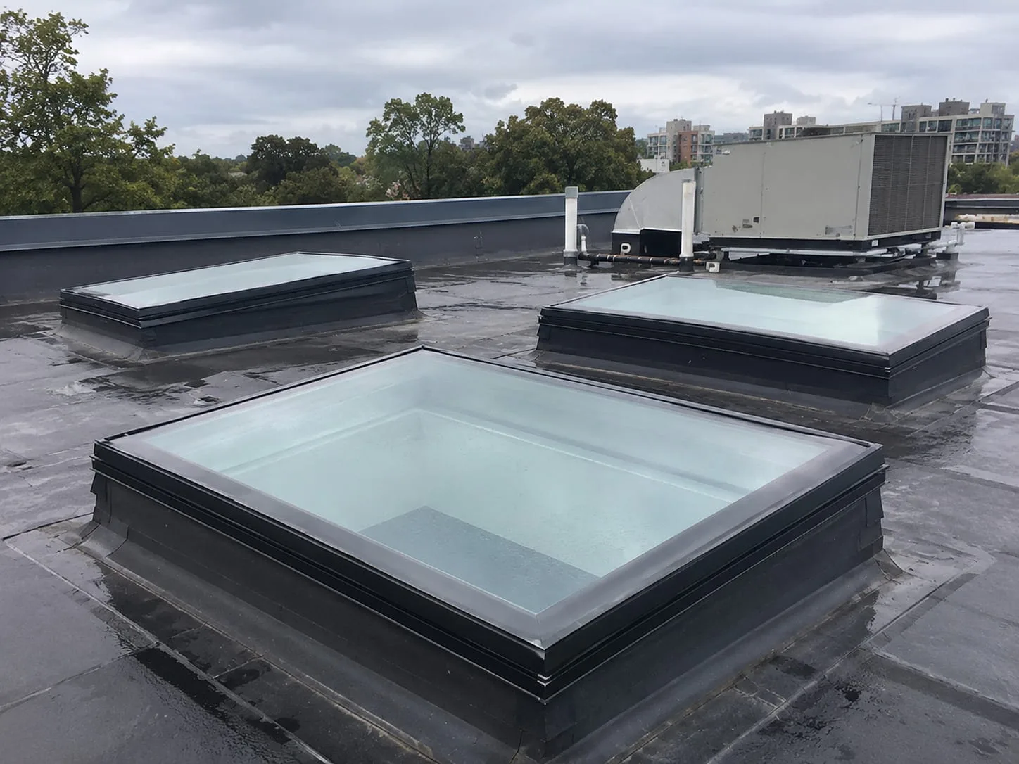 Opening Skylights in West Auckland