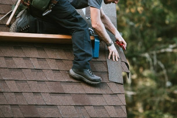 Roof replacement in Auckland